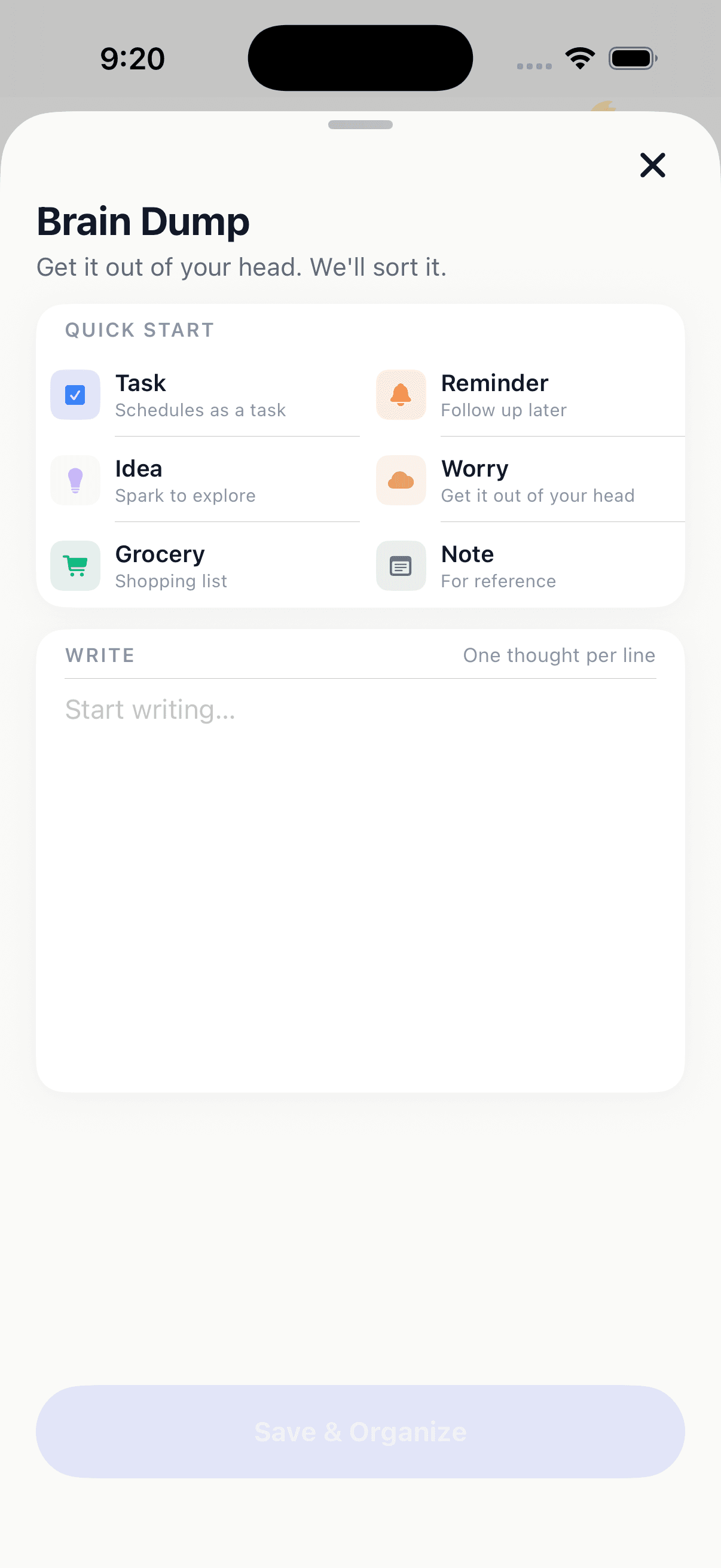 Brain Dump screen for capturing tasks, ideas, and worries